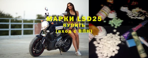 индика Баксан