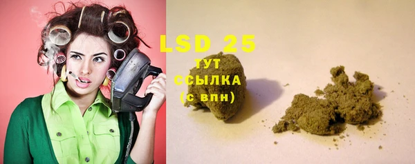 индика Баксан