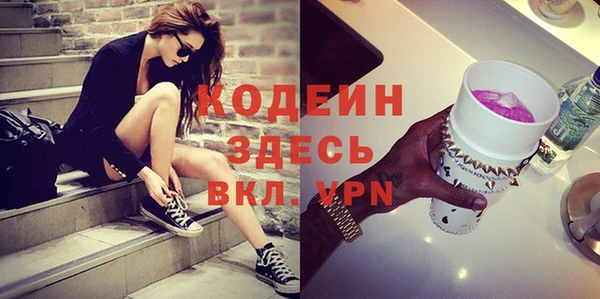 индика Баксан