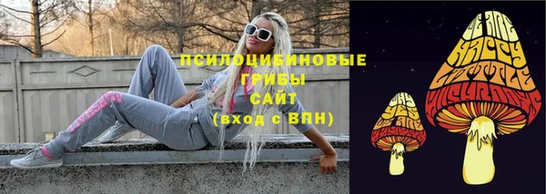 молекула духа Балабаново