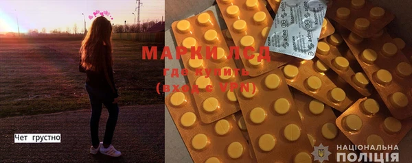 индика Баксан