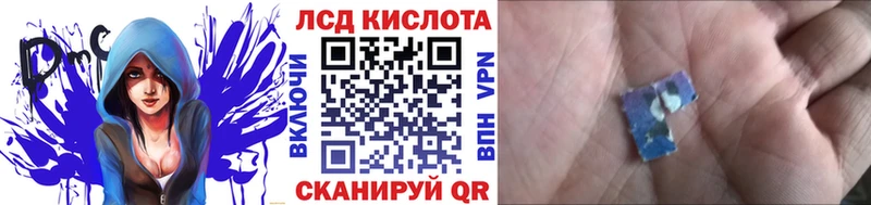 kraken как войти  Беслан  Наркотические марки 1,8мг  закладки 