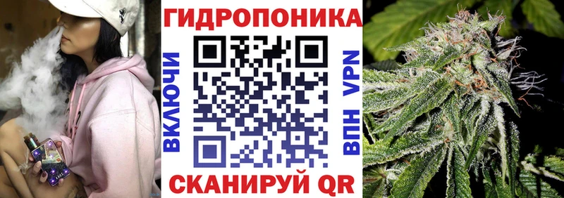 Конопля гибрид  Беслан 